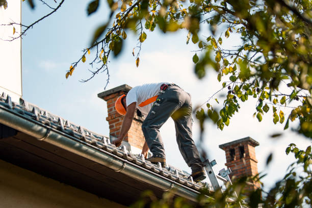 Roof Repair Estimates in Sauk Rapids, MN