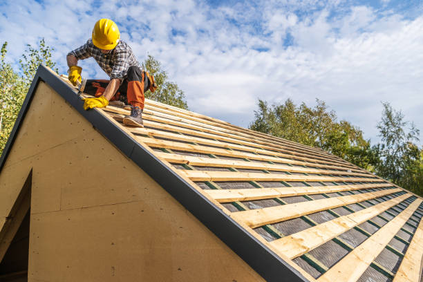 Best Metal Roofing Contractor  in Sauk Rapids, MN