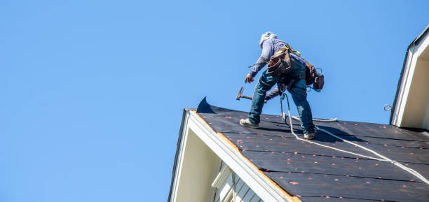 Best Storm Damage Roof Repair  in Sauk Rapids, MN